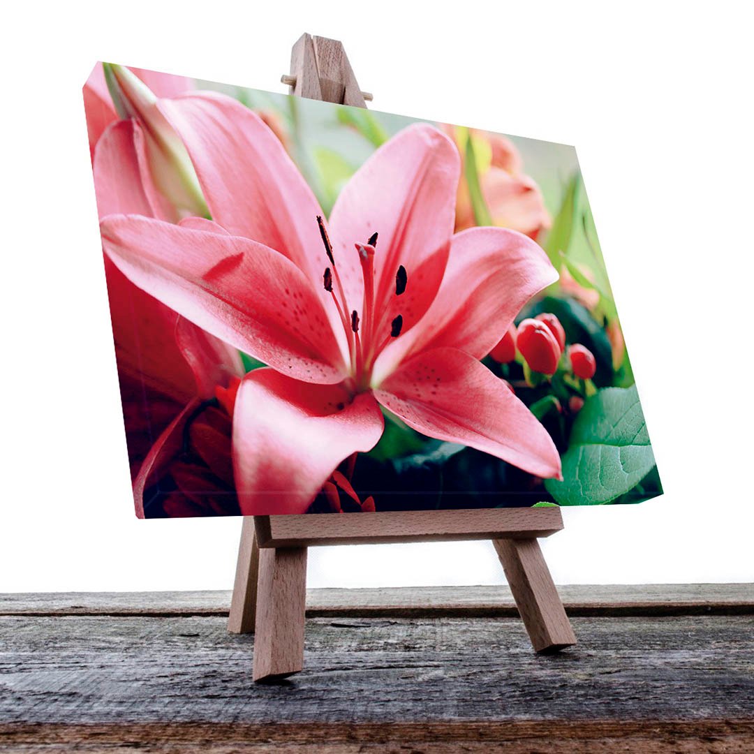 Cuadro Decorativo Holístico SPA, Relajación #20