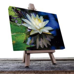 Cuadro Decorativo Holístico Meditación Flor de Loto #36