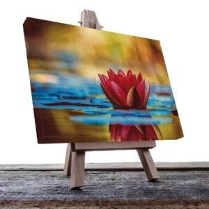 Cuadro Decorativo Holístico Meditación Flor de Loto #37