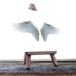 Cuadro Decorativo Holístico Alas blancas Fondo Blanco