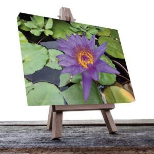 Cuadro Decorativo Holístico SPA, Relajación  #92