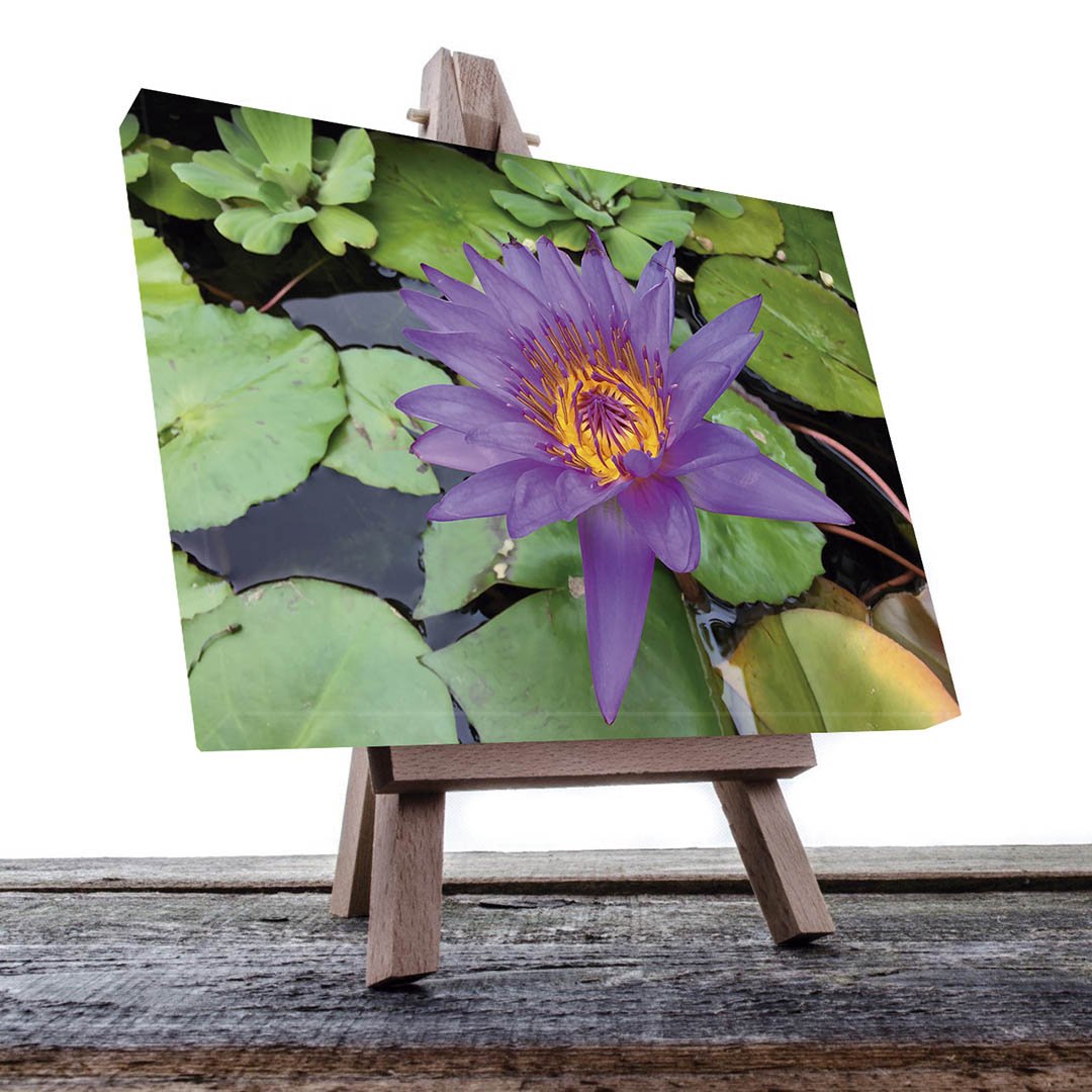 Cuadro Decorativo Holístico SPA, Relajación #92