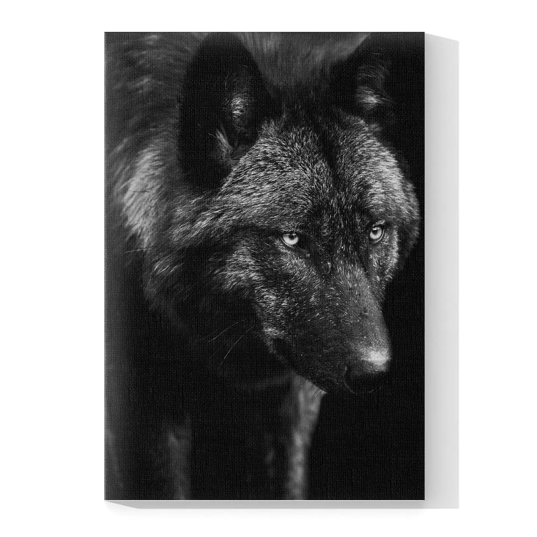 Cuadro Decorativo Lobo Negro #05 - Imagen 4