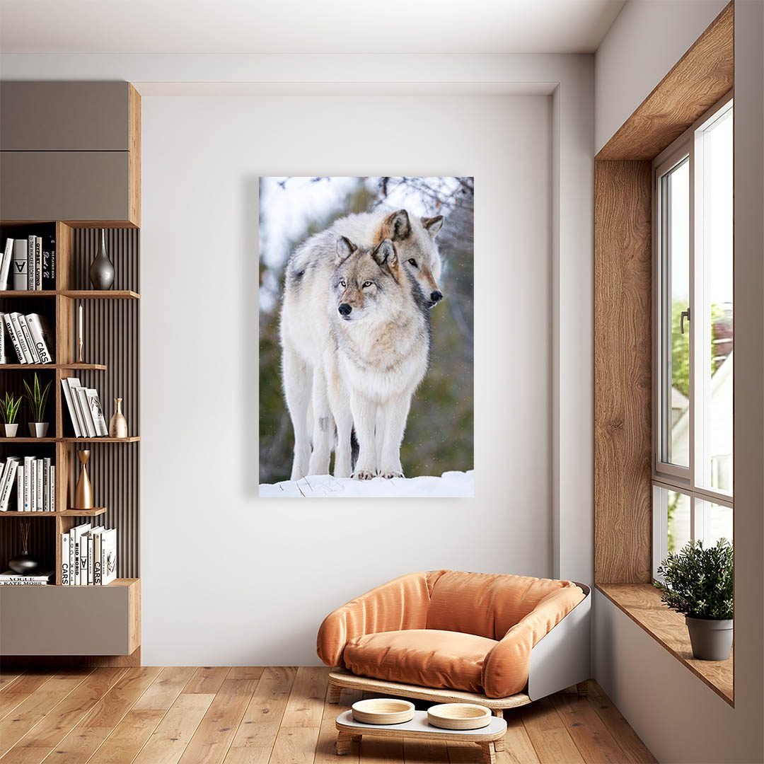 Cuadro Decorativo Lobos Blanco con Gris #10 - Imagen 2