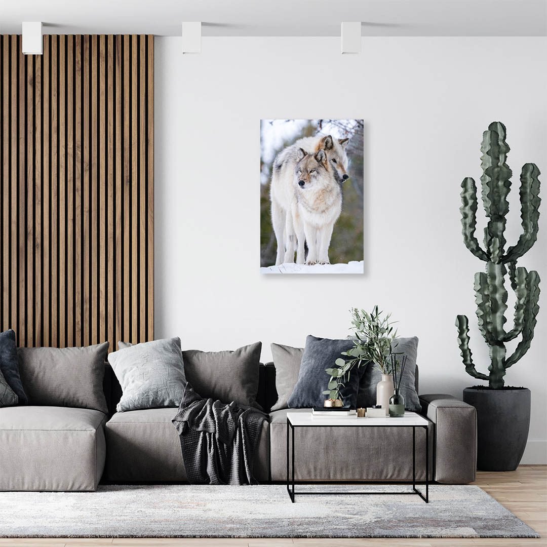 Cuadro Decorativo Lobos Blanco con Gris #10 - Imagen 3