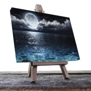 Cuadro Decorativo Luna Brillante en el Mar #13