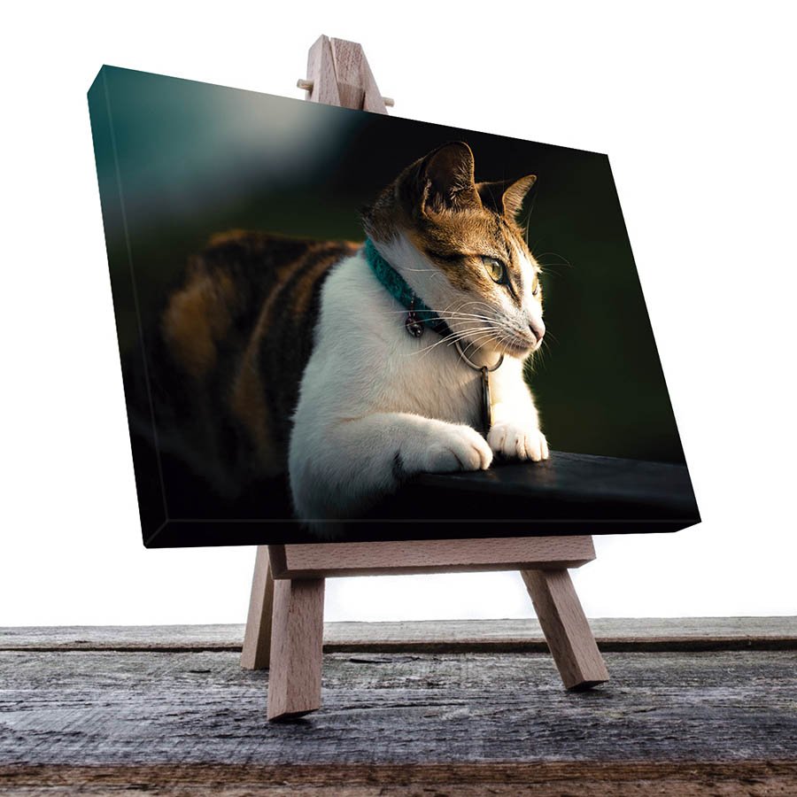 Cuadro Decorativo de Gato Blanco con Café #01