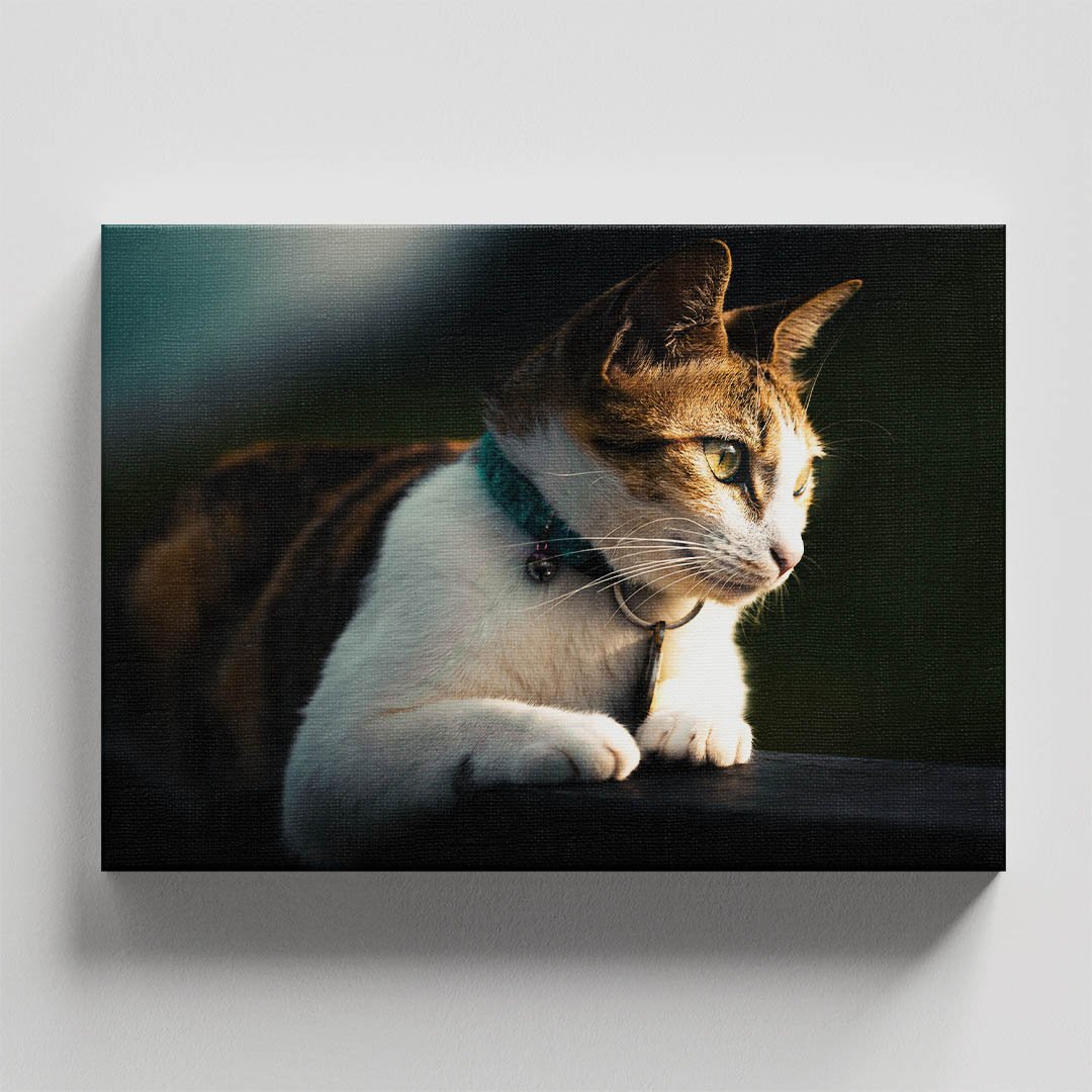 Cuadro Decorativo de Gato Blanco con Café #01 - Imagen 4