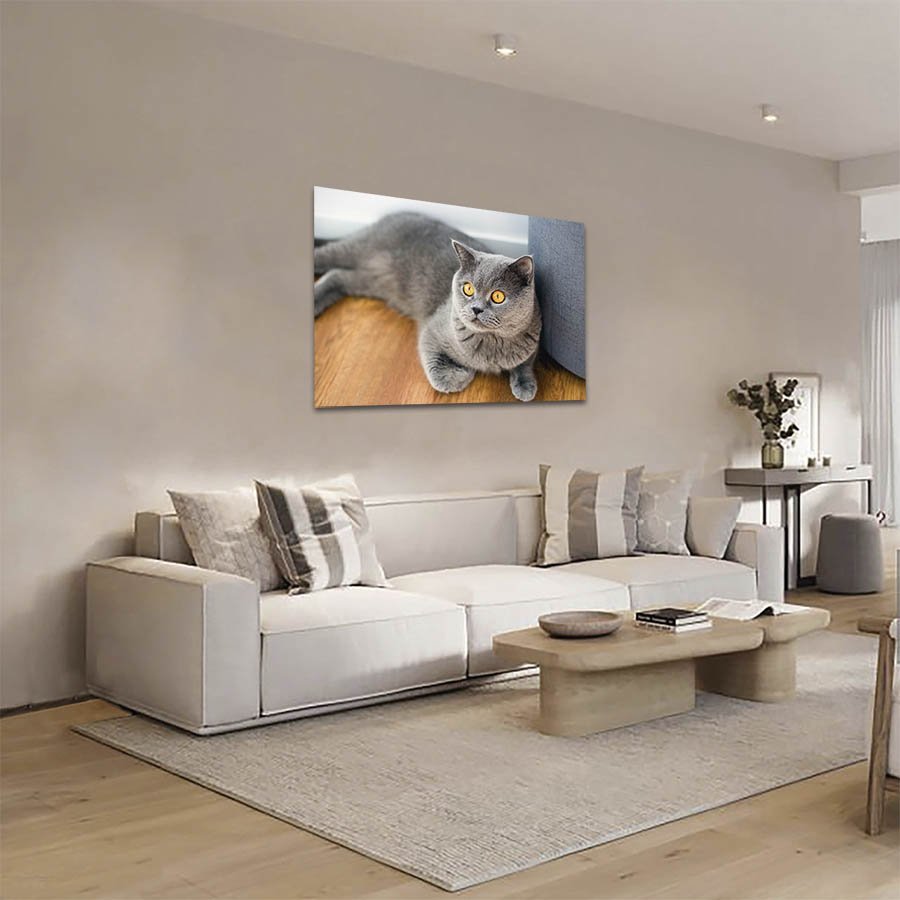 Cuadro Decorativo de Gato Gris #04 - Imagen 2
