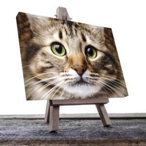 Cuadro Decorativo de Gato Blanco con Café #07