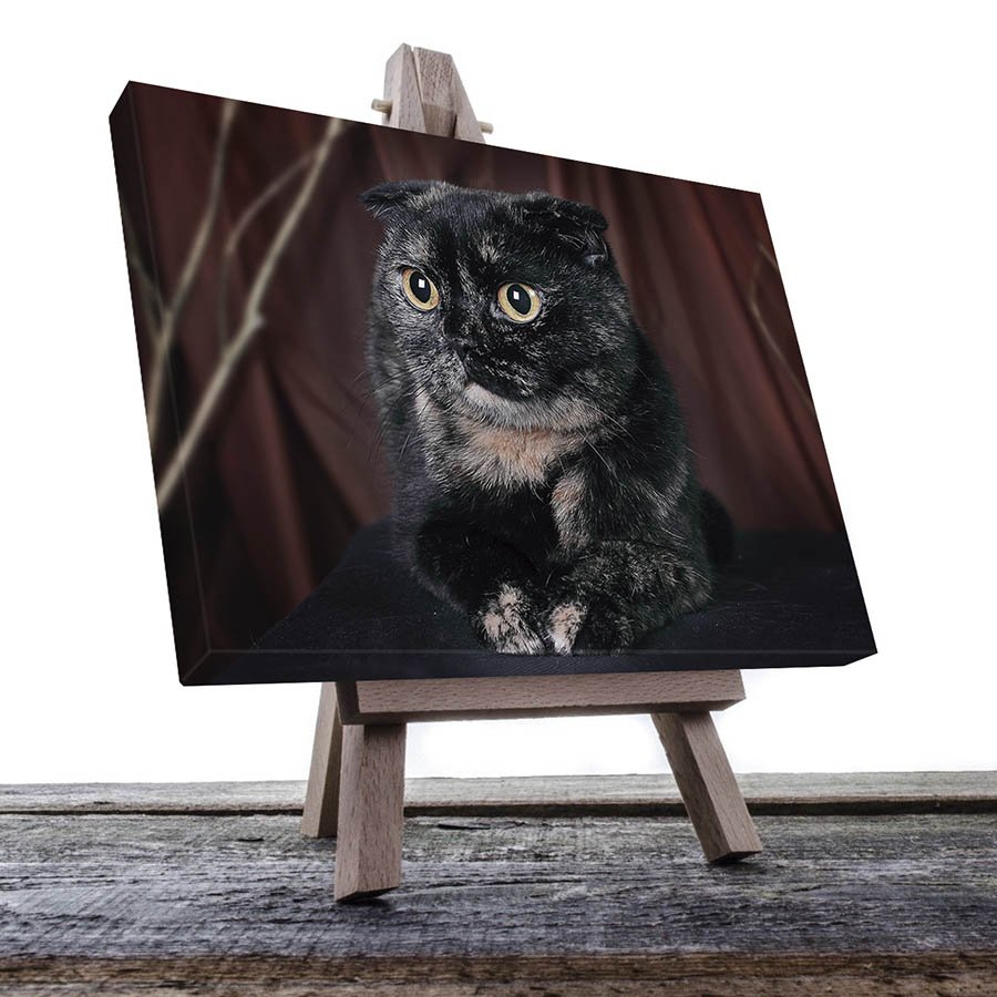 Cuadro Decorativo de Gato Gris #10