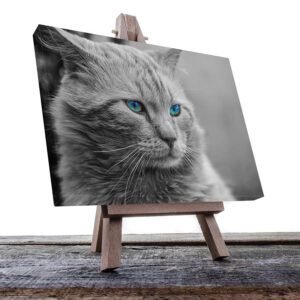 Cuadro Decorativo de Gato Gris #11