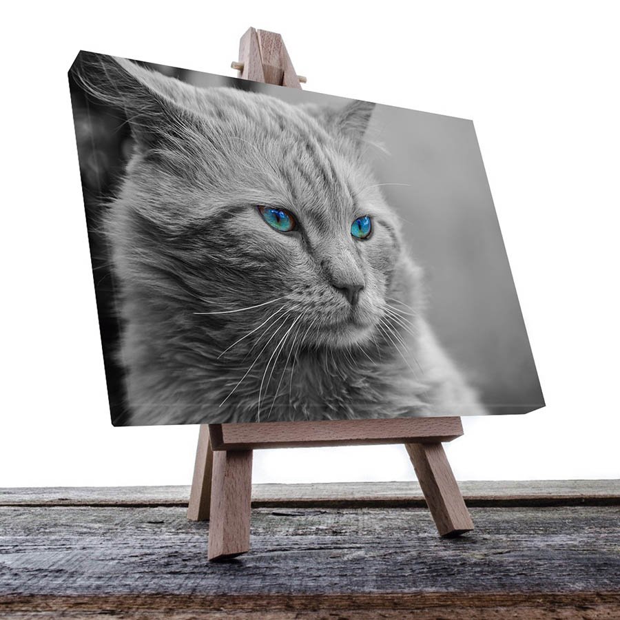 Cuadro Decorativo de Gato Gris #11