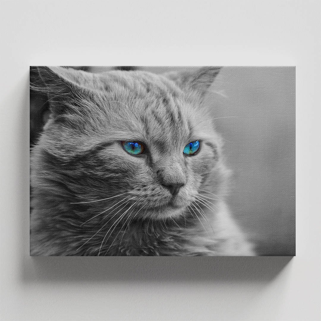 Cuadro Decorativo de Gato Gris #11 - Imagen 4