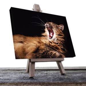 Cuadro Decorativo de Gato Café #12