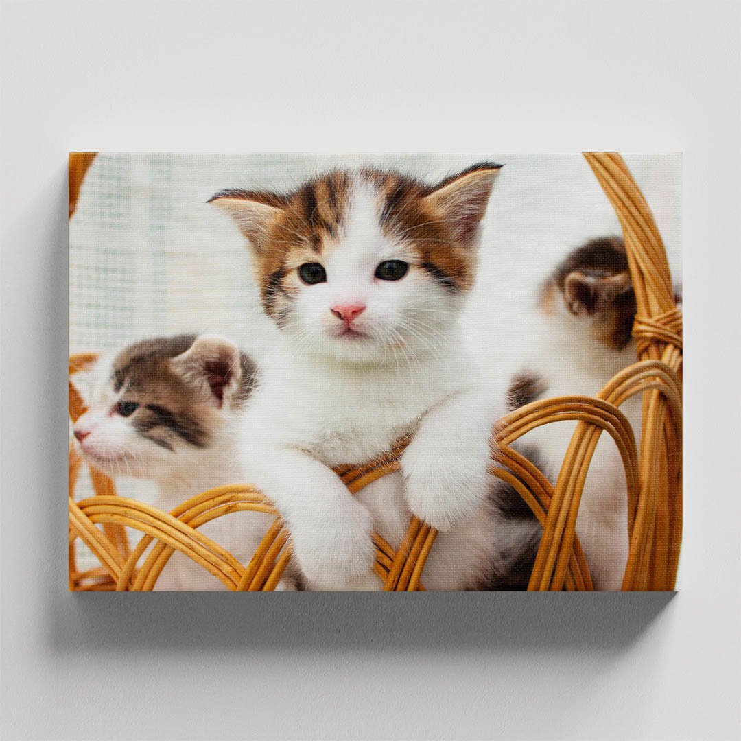 Cuadro Decorativo de Gato Blanco con Café #13 - Imagen 4