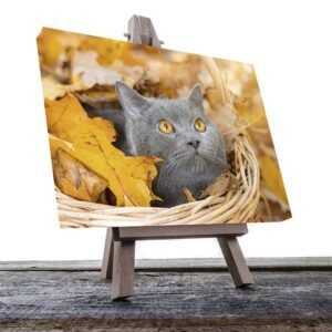 Cuadro Decorativo de Gato Gris #14