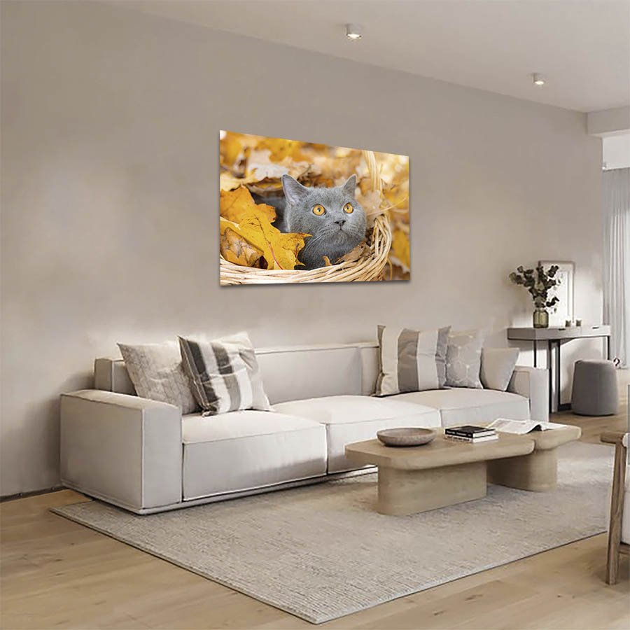 Cuadro Decorativo de Gato Gris #14 - Imagen 2
