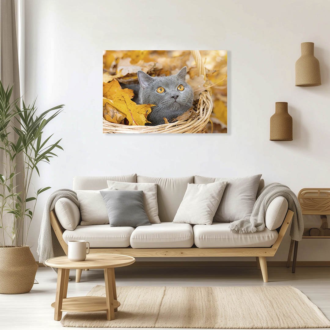 Cuadro Decorativo de Gato Gris #14 - Imagen 3