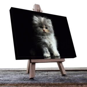 Cuadro Decorativo de Gato Gris #16