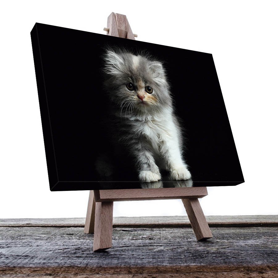 Cuadro Decorativo de Gato Gris #16