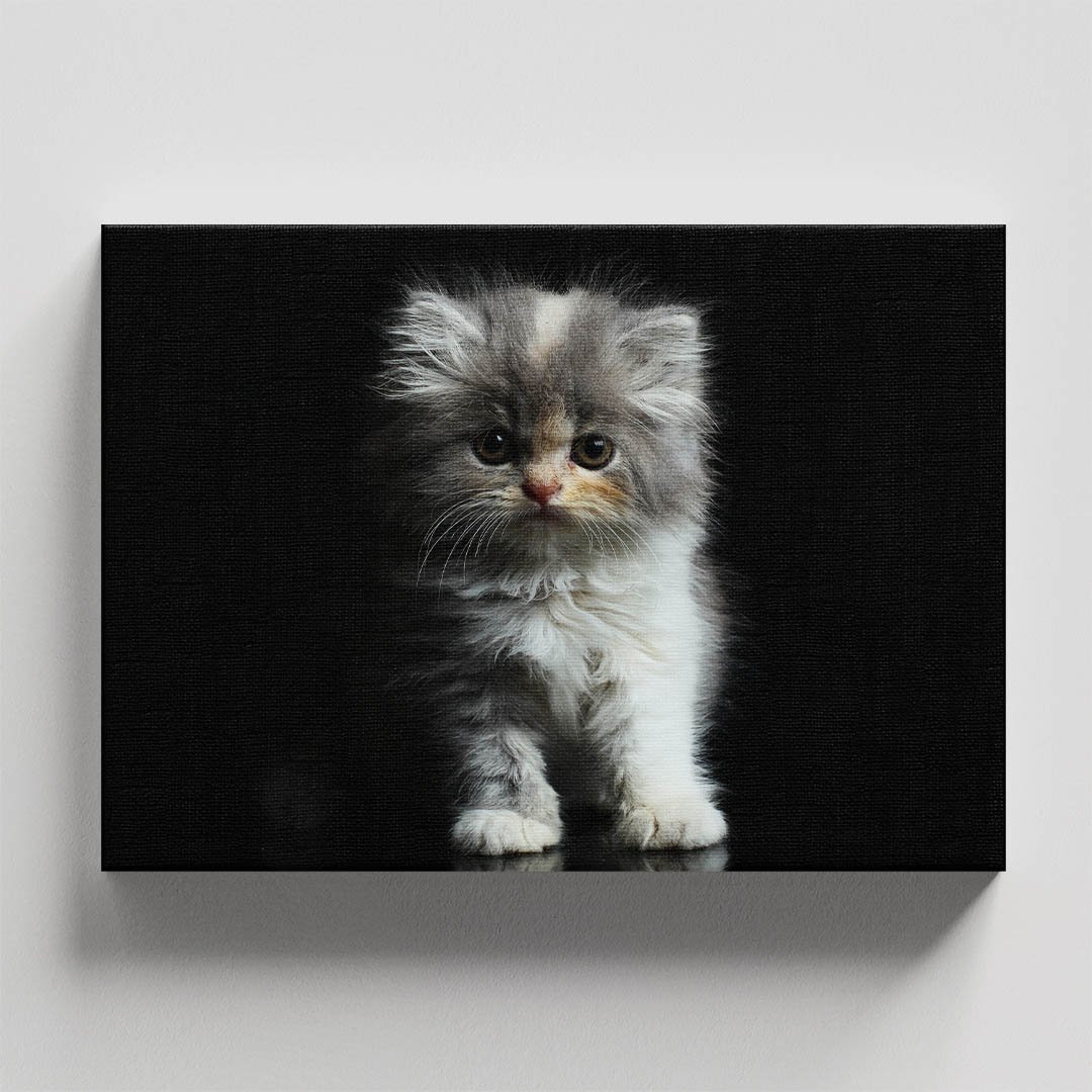 Cuadro Decorativo de Gato Gris #16 - Imagen 4