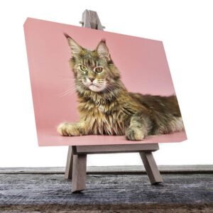 Cuadro Decorativo de Gato Café y Negro #17