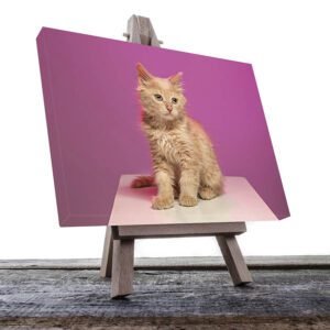 Cuadro Decorativo de Gato Café #18