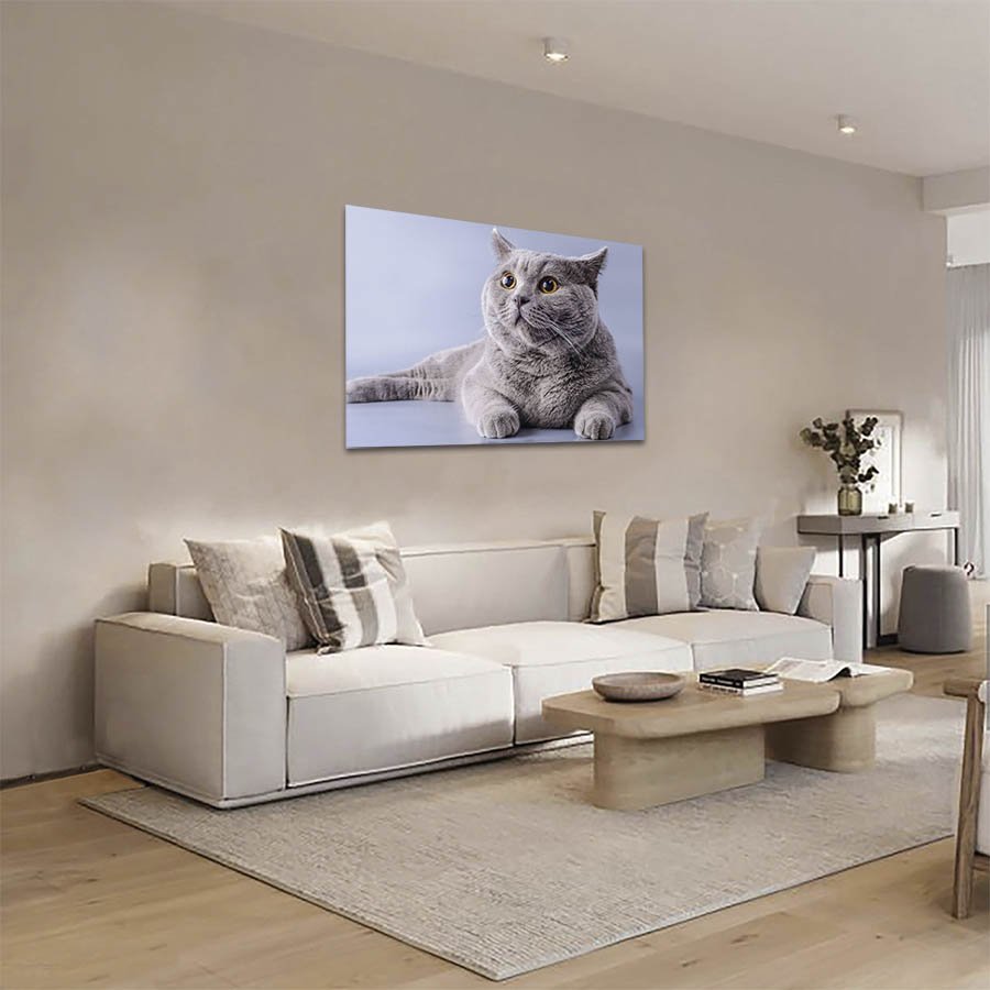 Cuadro Decorativo de Gato Gris #21 - Imagen 2