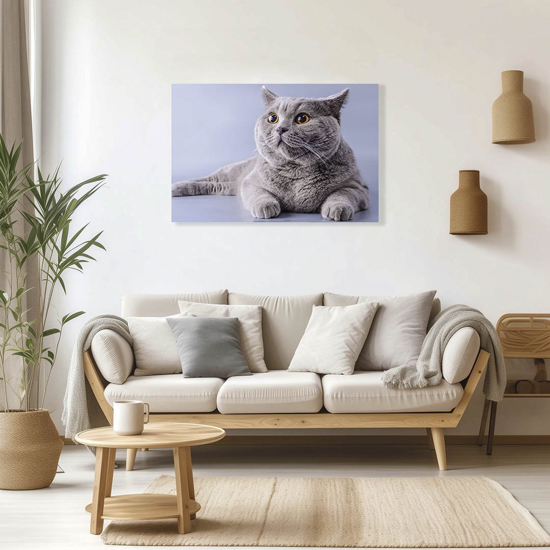 Cuadro Decorativo de Gato Gris #21 - Imagen 3