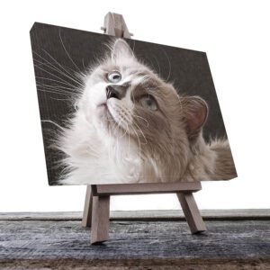 Cuadro Decorativo de Gato Gris y Blanco #22