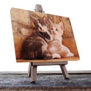 Cuadro Decorativo de Gatos Café, Blanco y Gris #24