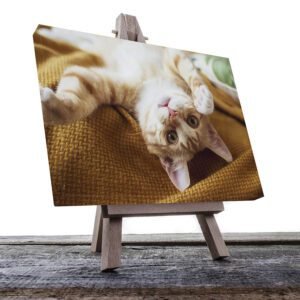 Cuadro Decorativo de Gato Blanco con Café #26