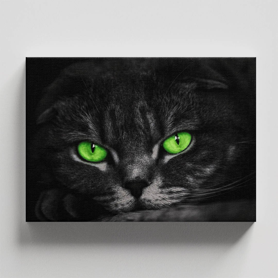 Cuadro Decorativo de Gato Gris #28 - Imagen 4