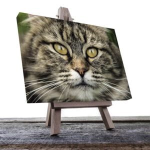 Cuadro Decorativo de Gato Negro con Gris y Blanco #30