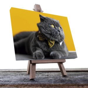 Cuadro Decorativo de Gato Gris #31