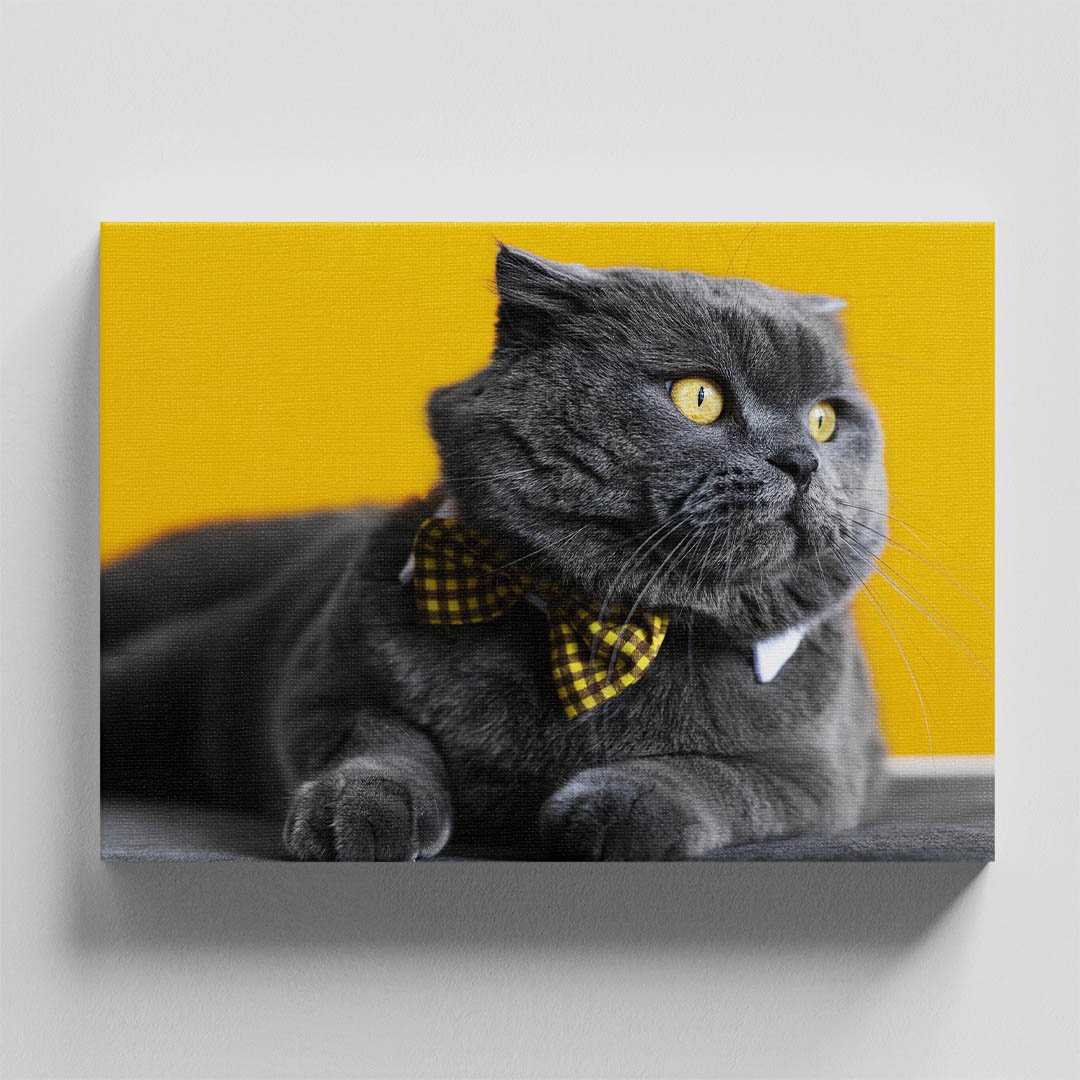 Cuadro Decorativo de Gato Gris #31 - Imagen 4