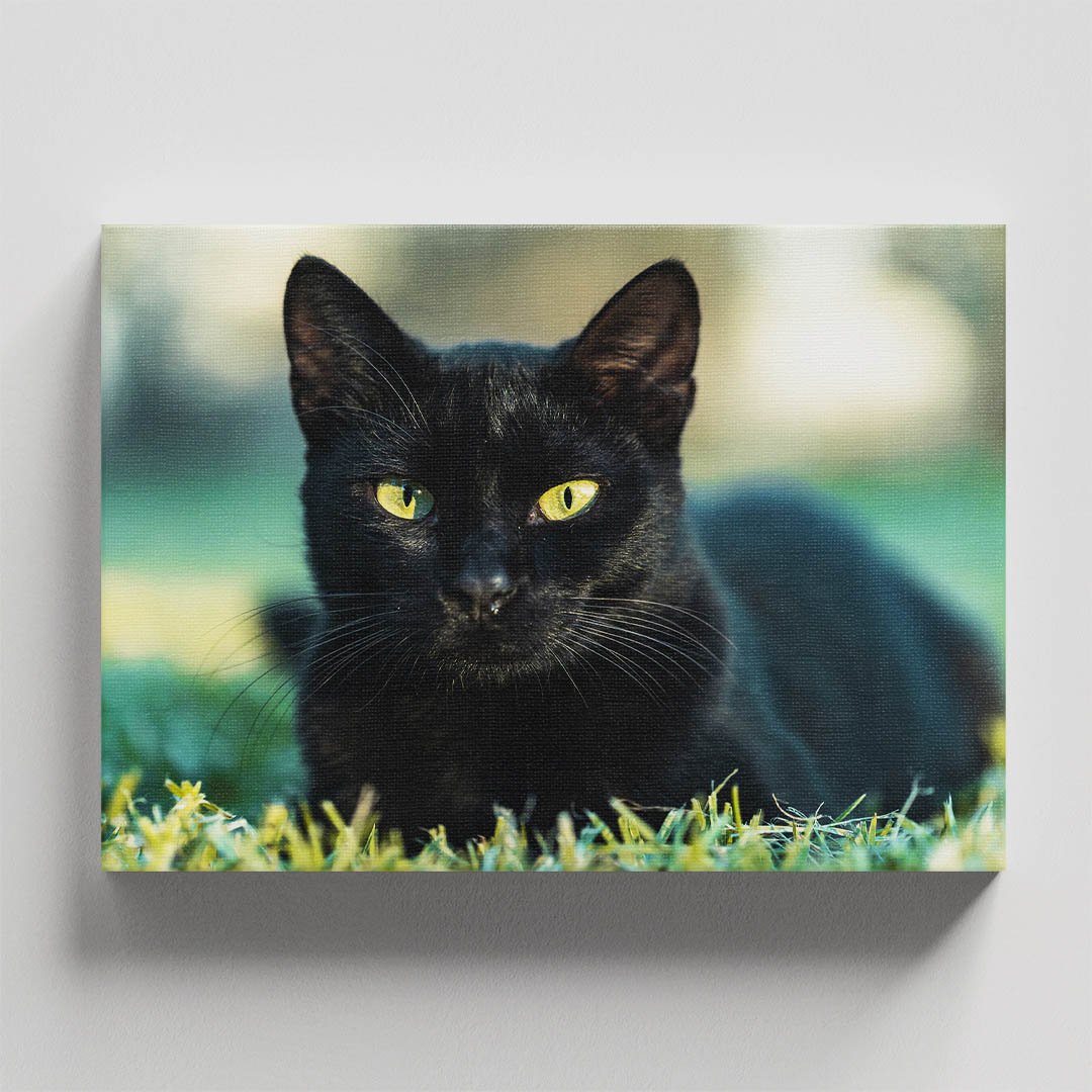 Cuadro Decorativo de Gato Negro #33 - Imagen 4
