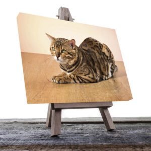 Cuadro Decorativo de Gato Café con rayas Negras #34