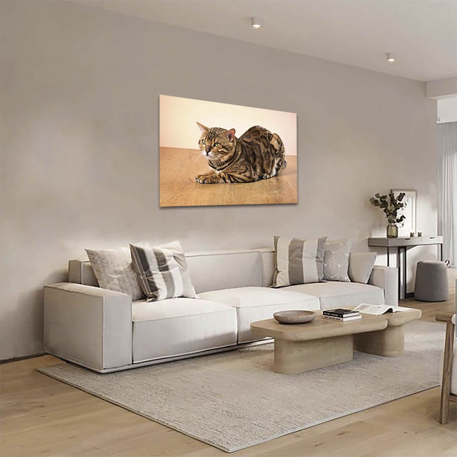 Cuadro Decorativo de Gato Café con rayas Negras #34 - Imagen 2