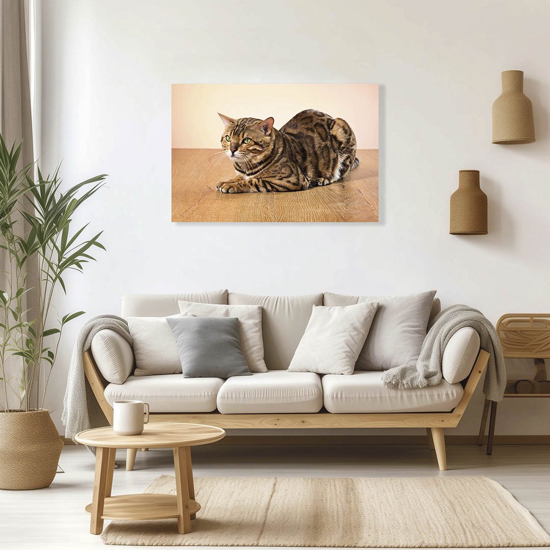 Cuadro Decorativo de Gato Café con rayas Negras #34 - Imagen 3