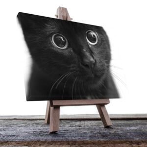 Cuadro Decorativo de Gatito Negro #37