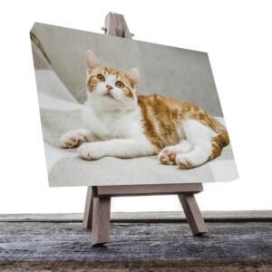 Cuadro Decorativo de Gato Blanco con Café #38