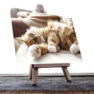 Cuadro Decorativo de Gato Blanco con Café #40