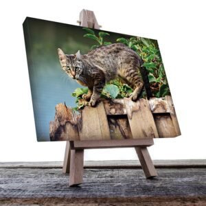 Cuadro Decorativo de Gato Gris con Café #44