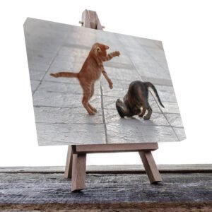 Cuadro Decorativo de Gatitos Café y Gris #45