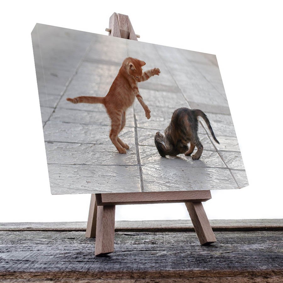 Cuadro Decorativo de Gatitos Café y Gris #45