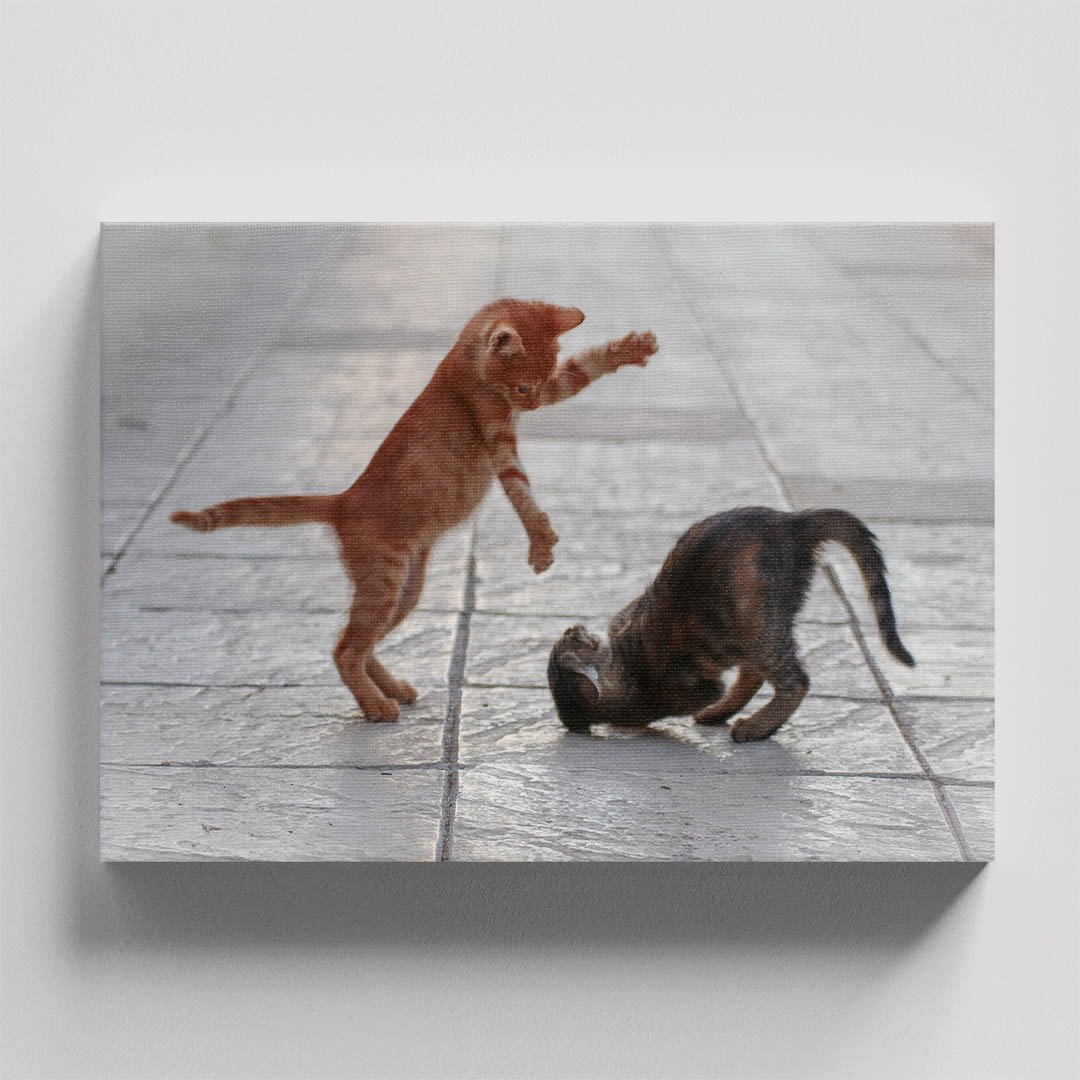 Cuadro Decorativo de Gatitos Café y Gris #45 - Imagen 4