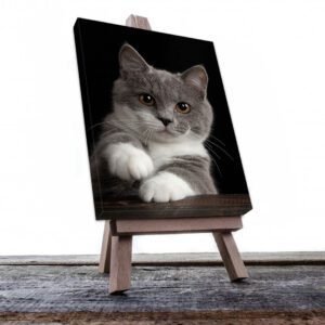 Cuadro Decorativo de Gato Gris #500