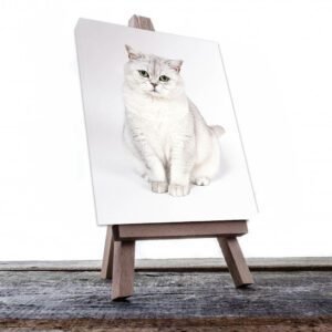 Cuadro Decorativo de Gato Blanco #502